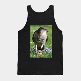 Sparrowhawk Tank Top